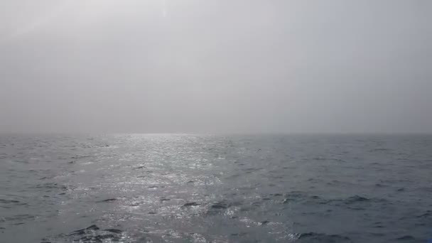 曇り天の海の眺め 海の波の上の太陽が霧を突き破る 霧の海の風景 霧の中の海の波 — ストック動画