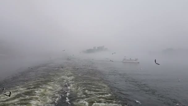 View Waves Ship Foggy Weather View Floating Motor Boat Seagulls — Stock Video