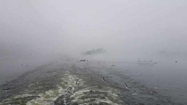 Blick Auf Die Wellen Die Dem Schiff Bei Nebligem Wetter — Stockvideo