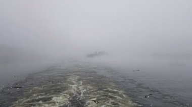 Gemiyi sisli havada takip eden dalgaların görüntüsü. Yüzen bir motorlu tekne görüntüsü. Martılar geminin arkasında uçar..
