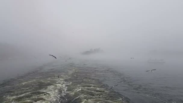 Blick Auf Die Wellen Die Dem Schiff Bei Nebligem Wetter — Stockvideo