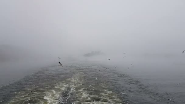 Blick Auf Die Wellen Die Dem Schiff Bei Nebligem Wetter — Stockvideo