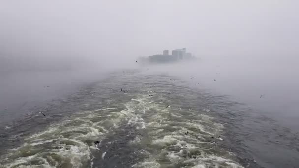 Zicht Golven Die Het Schip Volgen Bij Mistig Weer Meeuwen — Stockvideo