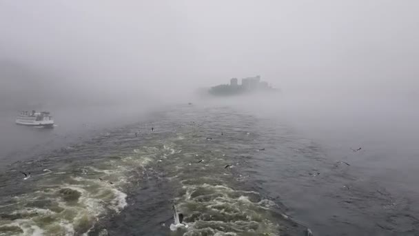 Вид Волны Следующие Кораблем Туманную Погоду Чайки Летают Позади Корабля — стоковое видео