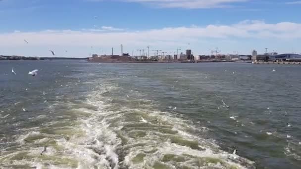 Вид Волны Следующие Кораблем Солнечную Погоду Чайки Летают Позади Корабля — стоковое видео