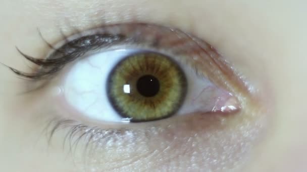 Green Brown Eye Beautiful Young Girl Close Blinking Constriction Pupil — Stock Video