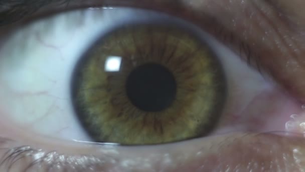 Œil vert-brun d'une belle jeune fille en gros plan. Clignotement et constriction de l'élève. Prise de vue macro 