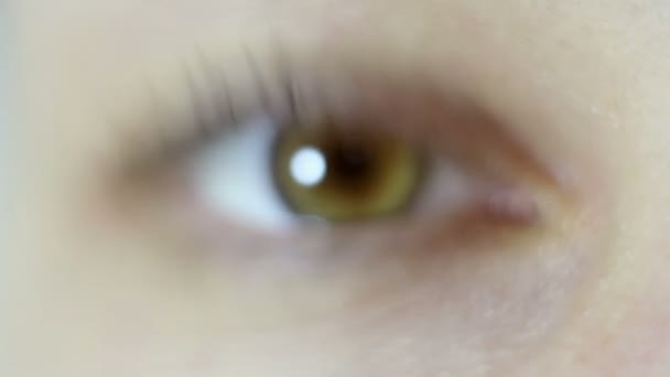 Zeleno-hnědé oko krásné mladé dívky zblízka. Mrkání a zúžení zorničky. Natáčení maker