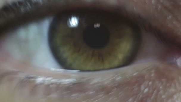 Green Brown Eye Beautiful Young Girl Close Blinking Constriction Pupil — Stock Video