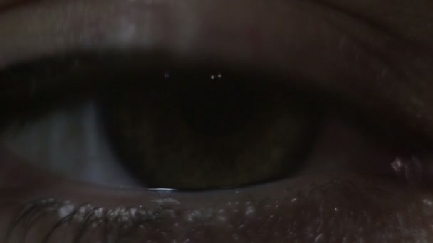 一个年轻漂亮姑娘的绿棕色眼睛特写 瞳孔的眨眼和缩窄 宏观射击 — 图库视频影像