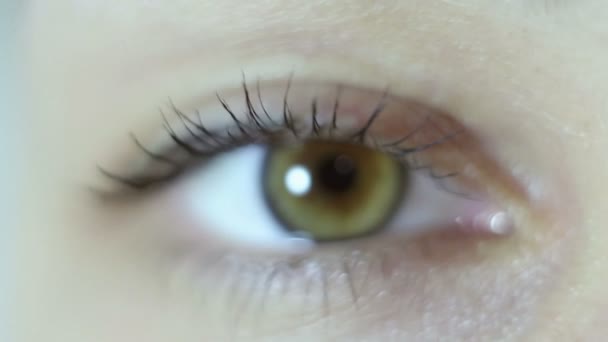 一个年轻漂亮姑娘的绿棕色眼睛特写 学生的眨眼和缩窄 — 图库视频影像