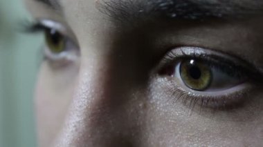 Büyük yeşil-kahverengi gözleri ile güzel bir genç kız kameraya coquettishly görünüyor. Yanıp sönme yakın.