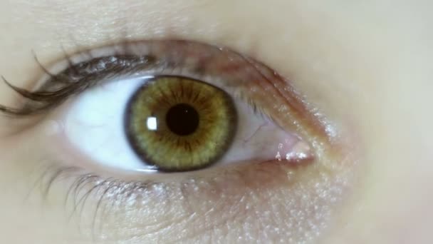 Зелено-коричневый глаз красивой молодой девушки крупным планом . — стоковое видео