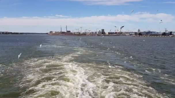 Utsikt Över Vågorna Efter Fartyget Soligt Väder Fiskmåsar Flyger Bakom — Stockvideo