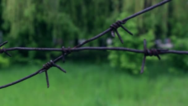 Des barbelés rouillés. Forêt derrière des barbelés. Gros plan sur fil barbelé.