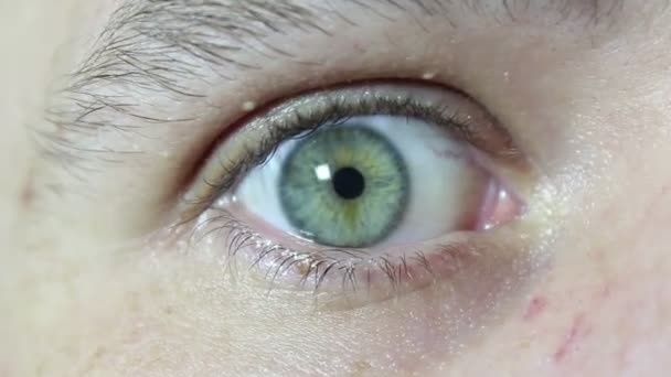 Apertura Ojos Parpadeantes Color Verde Grisáceo Joven Guapo Primer Plano — Vídeos de Stock