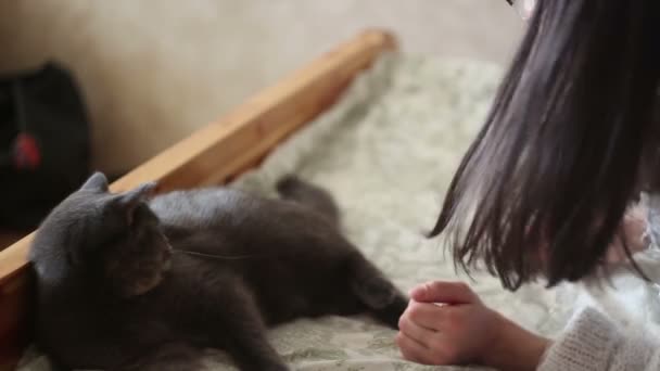 Uma Jovem Está Acariciando Gato Cinza Deitado Cama Uma Jovem — Vídeo de Stock