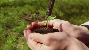 Genç bir kız filizlenen bir avuç toprak tutuyor. Genç yeşil filiz çiftçi bir kızın ellerinde. Yeşil gezegen kavramı, ekoloji. Büyümenin sembolü, çevresel koruma.