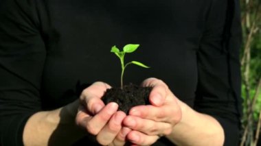   Genç bir kız filizlenen bir tohumla bir avuç toprak tutuyor. Çiftçi bir kızın ellerinde genç yeşil bir filiz. Yeşil gezegen kavramı, ekoloji. Büyümenin sembolü, çevresel koruma.