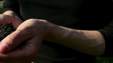 Genç bir kız filizlenen bir avuç toprak tutuyor. Genç yeşil filiz çiftçi bir kızın ellerinde. Yeşil gezegen kavramı, ekoloji. Büyümenin sembolü, çevresel koruma.