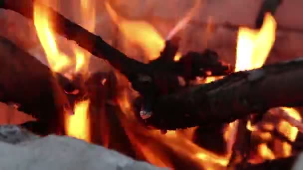 Primer Plano Leña Ardiendo Una Hoguera Una Acogedora Hoguera Ardiente — Vídeos de Stock