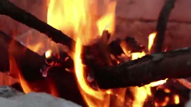 Primer Plano Leña Ardiendo Una Hoguera Una Acogedora Hoguera Ardiente — Vídeos de Stock