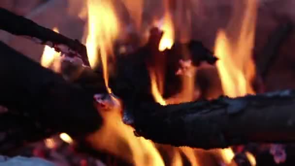 薪のたき火の中で燃焼を閉じる 居心地の良い燃焼たき火 — ストック動画