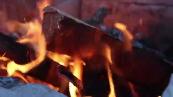 Şenlik Ateşinde Yanan Odunların Yakın Çekimi Sıcak Yanan Bir Şenlik — Stok video