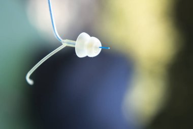 Modern dijital işitme cihazı