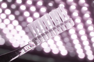 diş fırçası portre