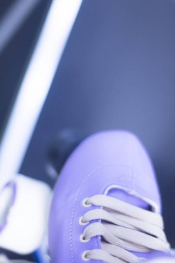 Dört dört tekerlekli patenler