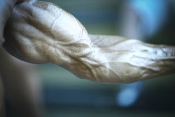 Bodybuilder muscular man — Stock Photo, Image