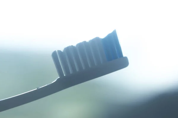 Dental toothbrush isolated — Stock Photo, Image