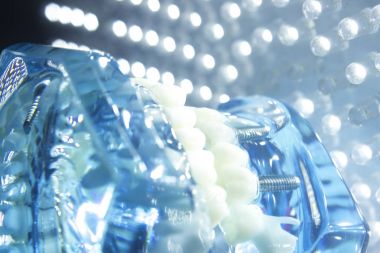 Diş hekimleri diş diş modeli