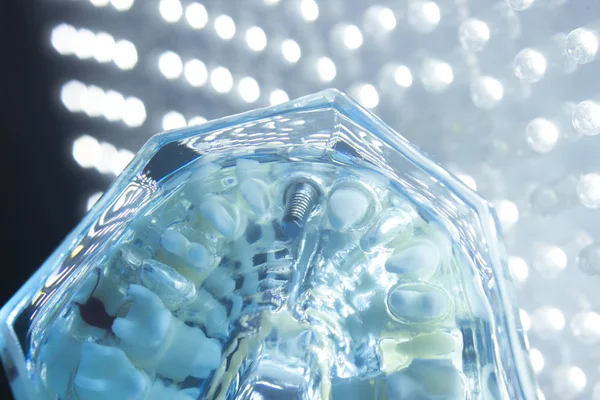 Diş hekimleri diş diş modeli