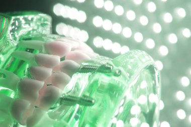 Diş hekimleri diş diş modeli