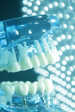 Diş hekimleri diş diş implant