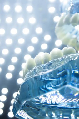 Diş hekimleri diş diş modeli