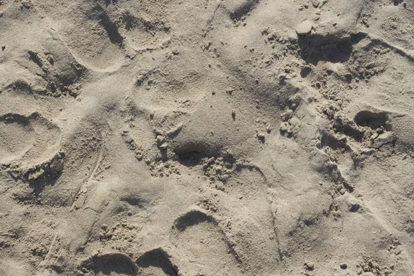 Písek na pláži u oceánu — Stock fotografie