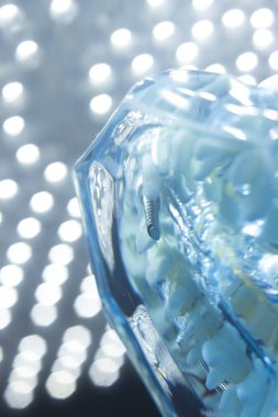 Diş hekimleri diş diş modeli