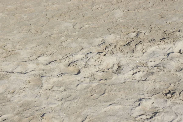 Okyanus tarafından sahilde kum