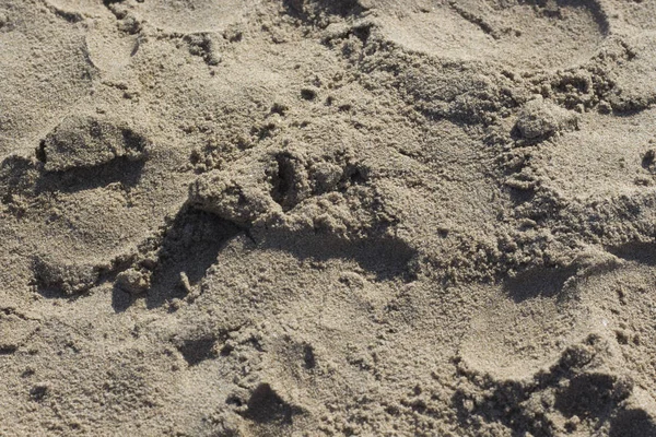 Arena en la playa por el océano — Foto de Stock