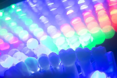 Diş diş kökleri modeli