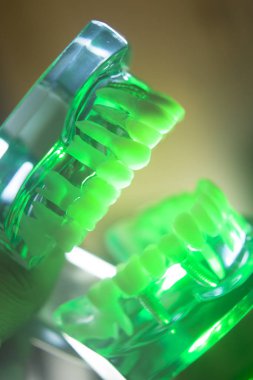 Diş ağız diş modeli