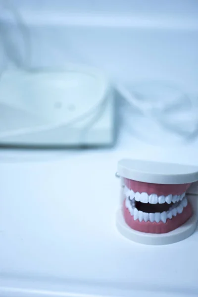 Стоматологическая модель зубов — стоковое фото
