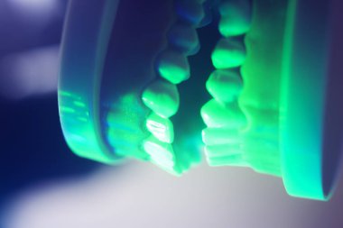 Diş ağız diş modeli