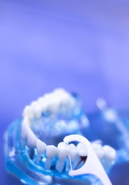 İnterdental Diş Temizleme