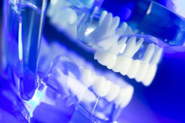 Diş diş klinik modeli