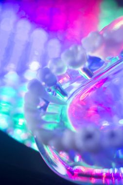 Diş hekimi diş modeli