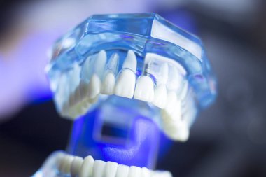 Diş diş ağız sağlığı